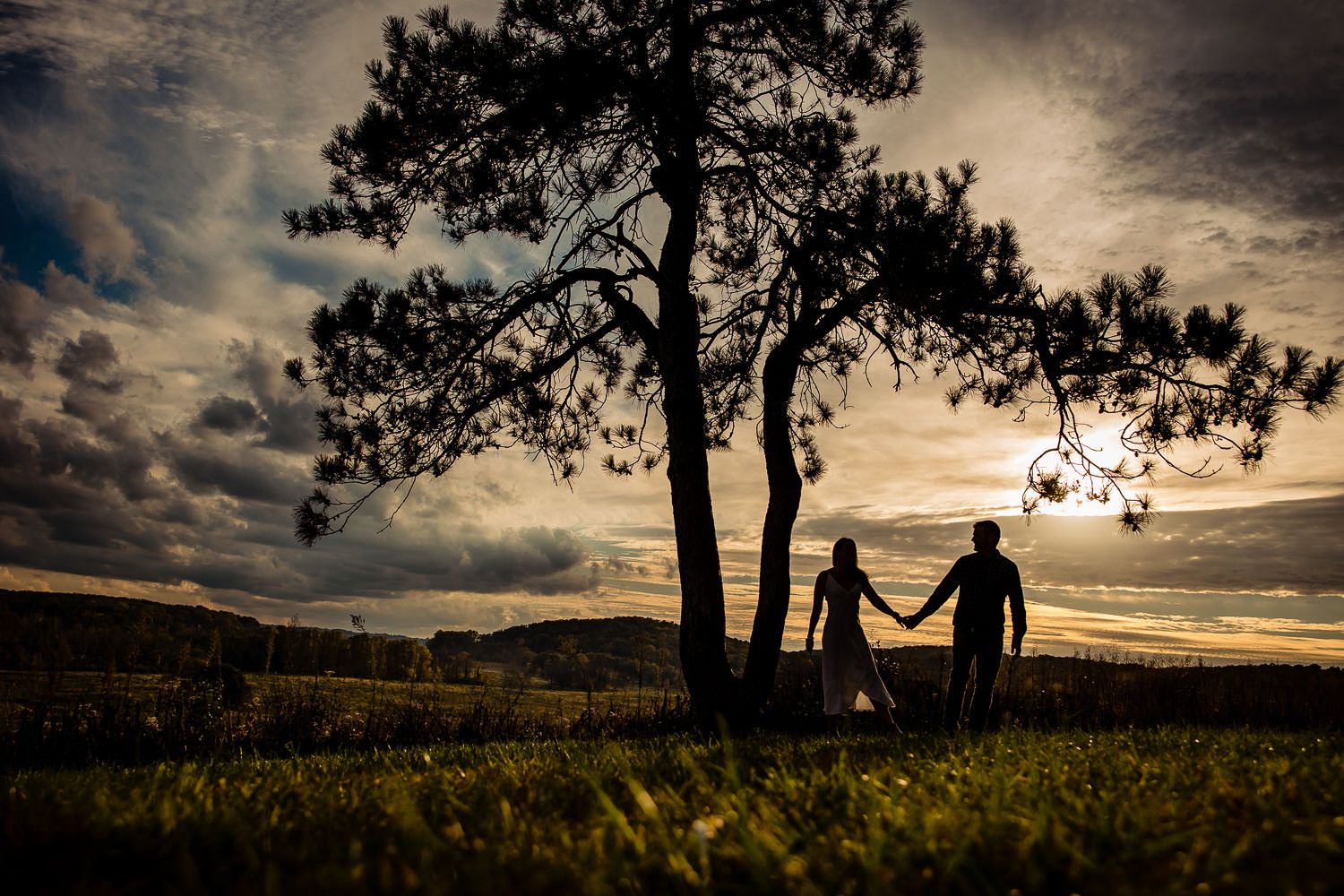 A couple holding hands near a tree at sunset