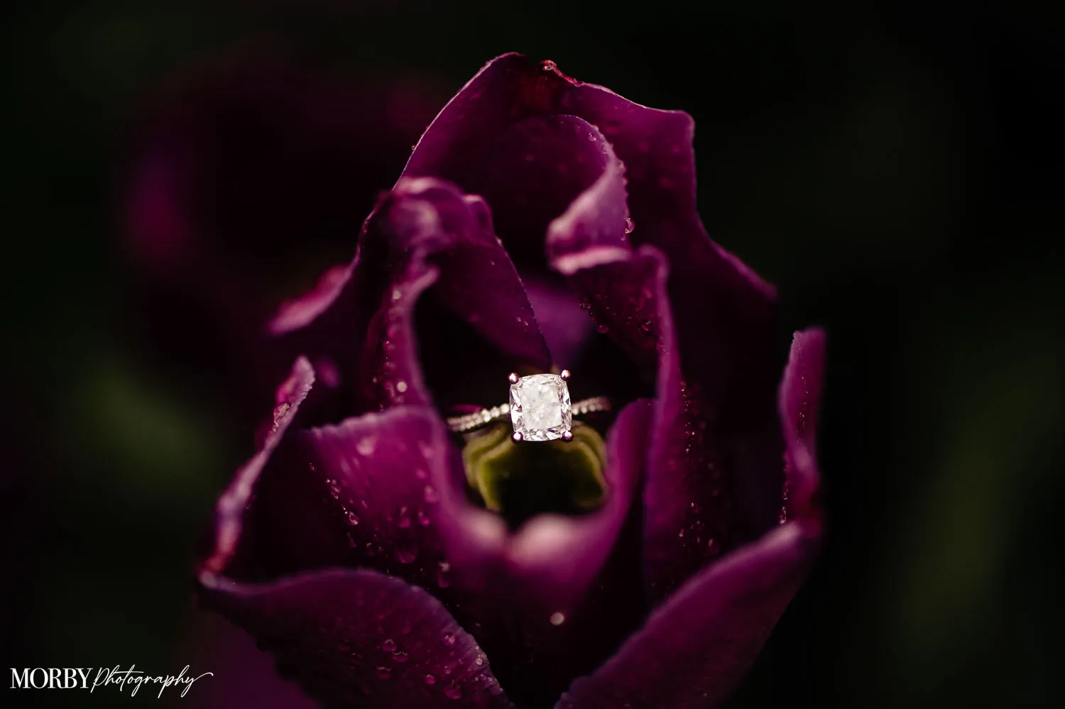 2023-04-22 RW-KB Engagement LR