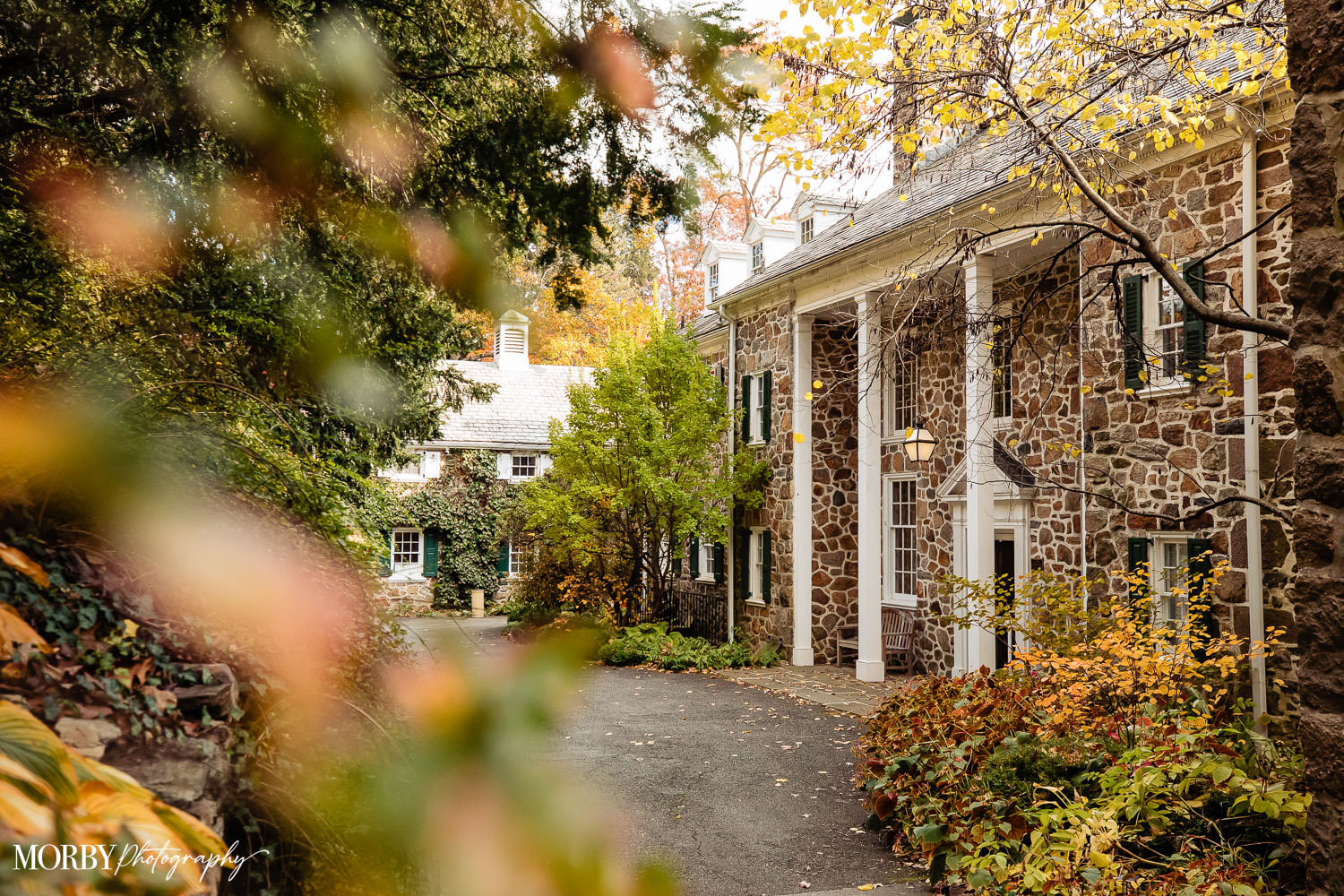 2025-11-01 CF-SG Wedding-MP