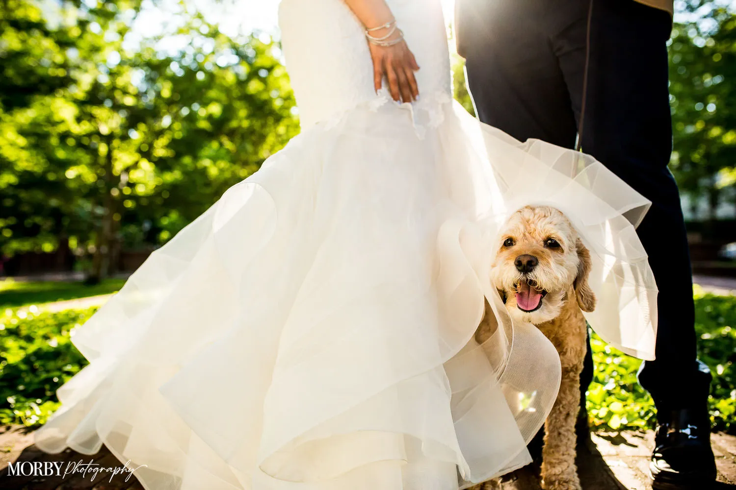 Ted and Amanda’s Session